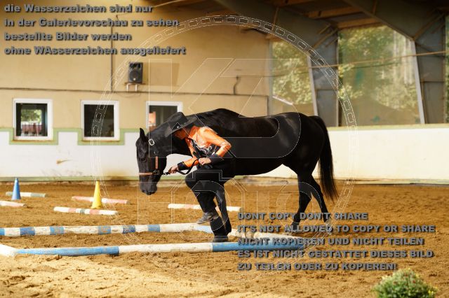 s_K3F08261.JPG